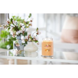 Mango Ice Cream Signature Large Jar