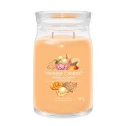 Mango Ice Cream Signature Large Jar