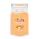Mango Ice Cream Signature Large Jar
